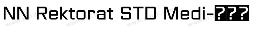 NN Rektorat STD Medi字体转换